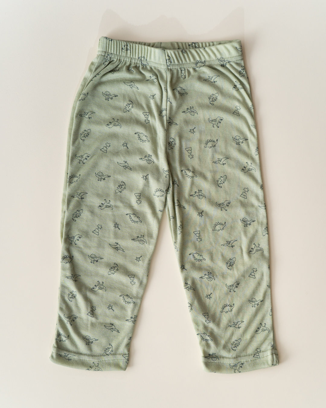 Lightweight CO-ORD set- Half Sleeve T-shirt and Pant - mint green Dino