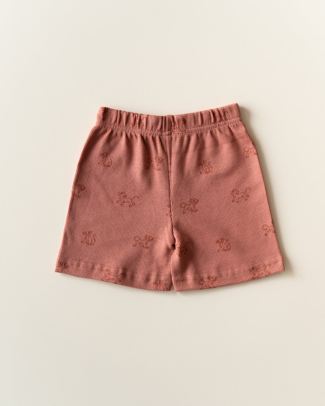 CO-ORD set- Sleeveless T-shirt and Short - Coral Lion cub
